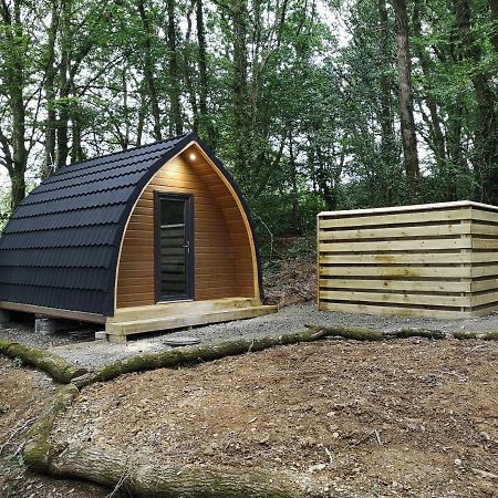 The Pod-Hot Tub-Woodland Lodges-St Clears-Кармартън Екстериор снимка
