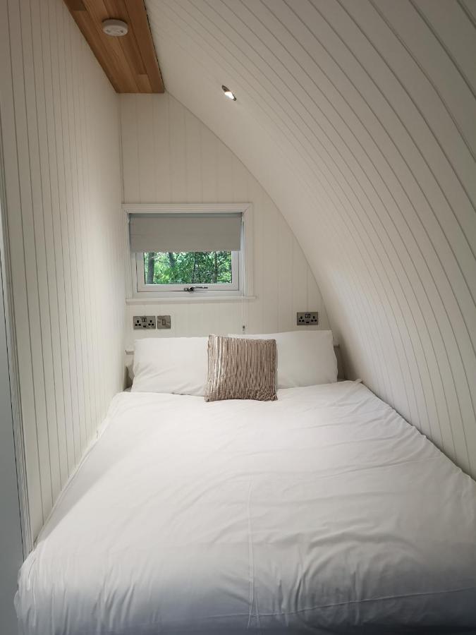 The Pod-Hot Tub-Woodland Lodges-St Clears-Кармартън Екстериор снимка
