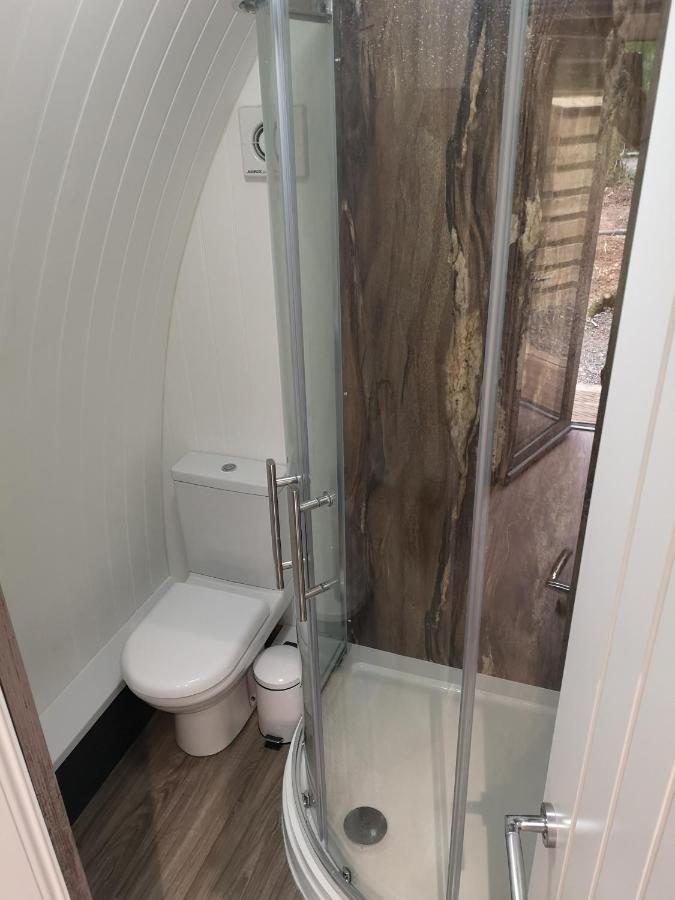 The Pod-Hot Tub-Woodland Lodges-St Clears-Кармартън Екстериор снимка