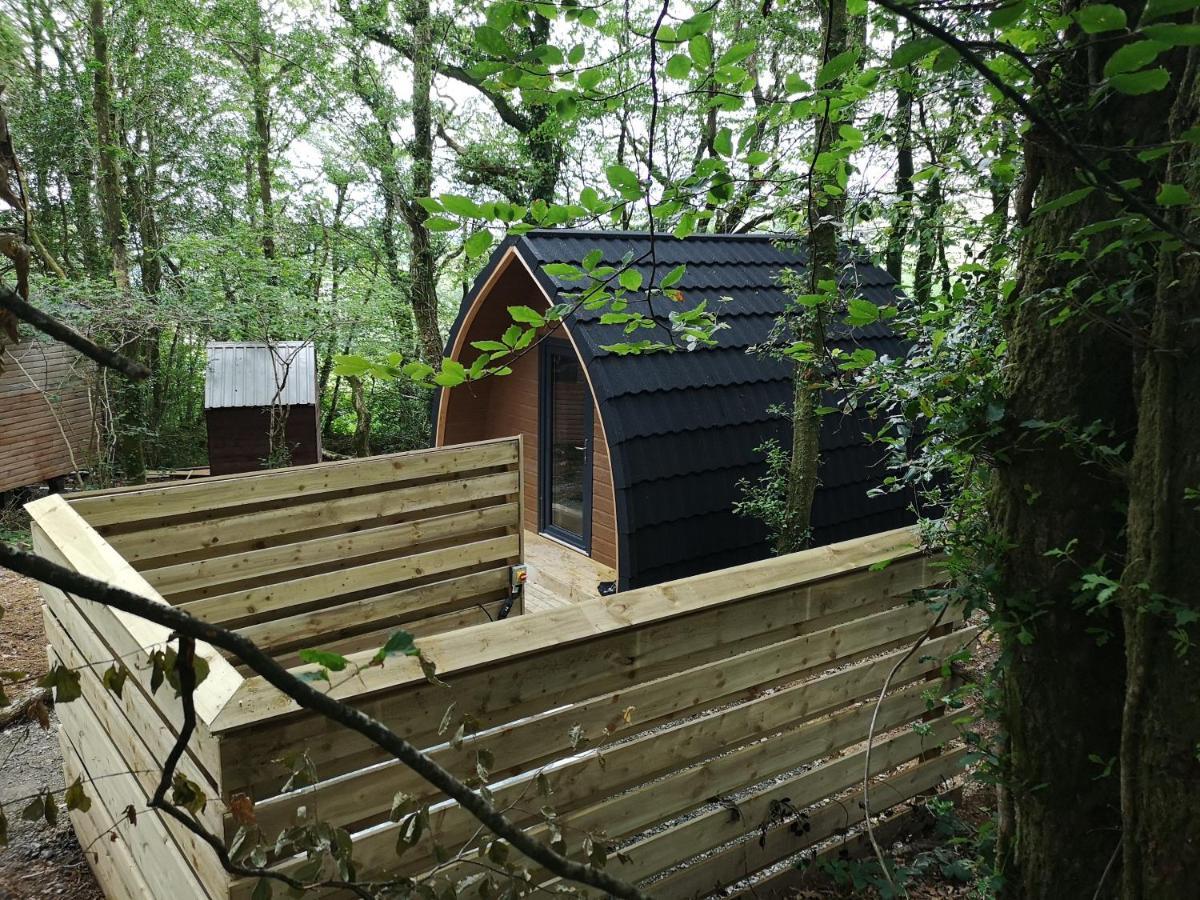 The Pod-Hot Tub-Woodland Lodges-St Clears-Кармартън Екстериор снимка