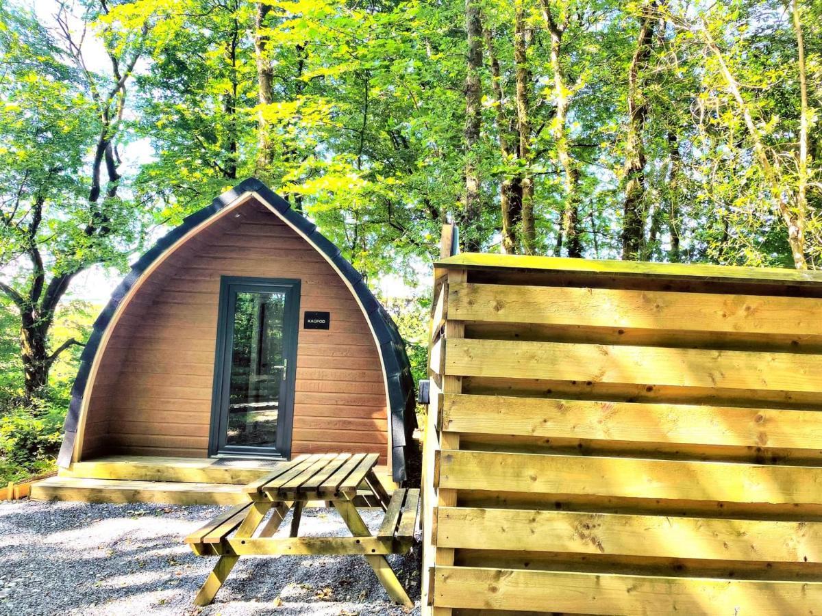 The Pod-Hot Tub-Woodland Lodges-St Clears-Кармартън Екстериор снимка